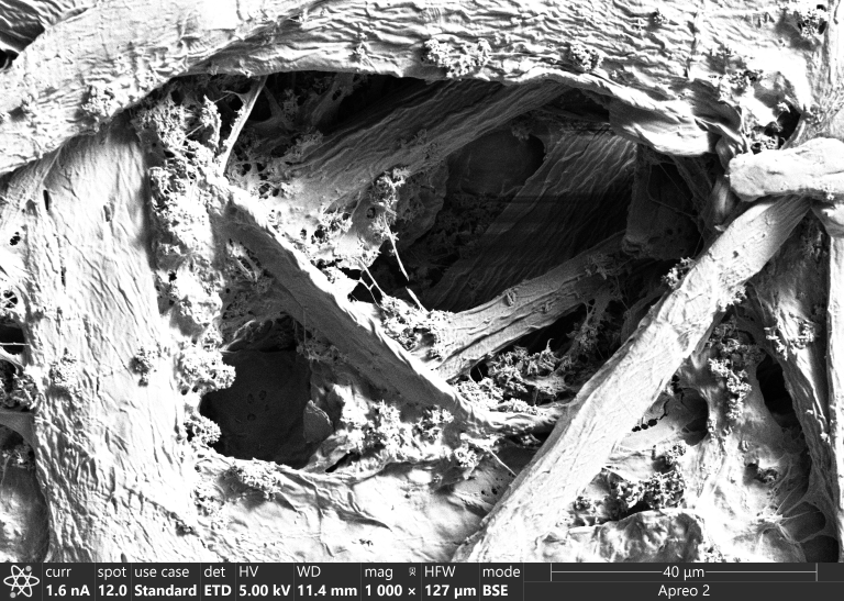 BSE image of printer paper.