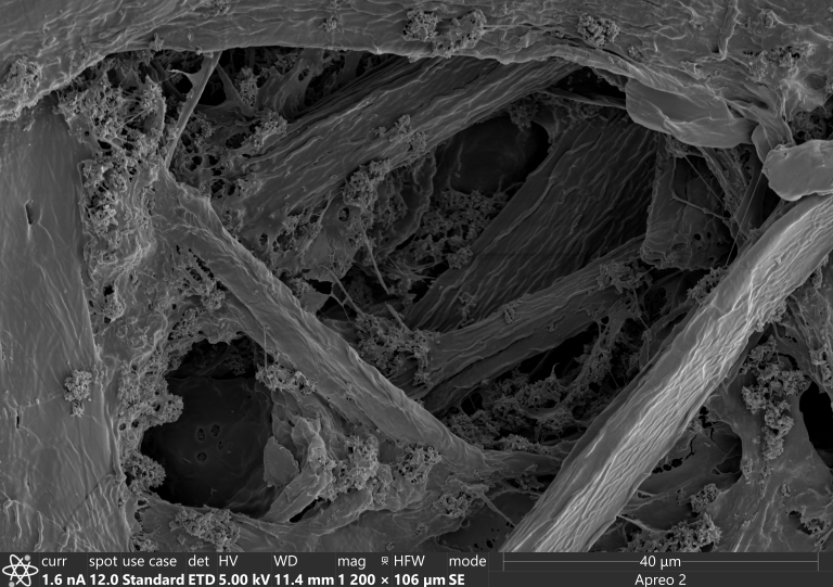 SE image of printer paper.