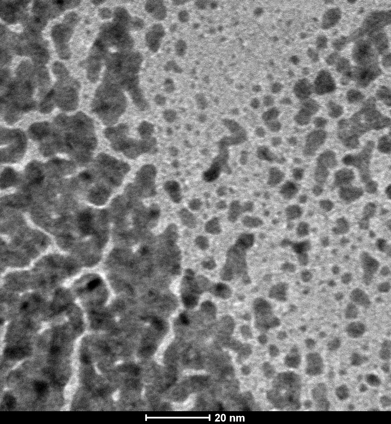 TEM image of gold atoms.